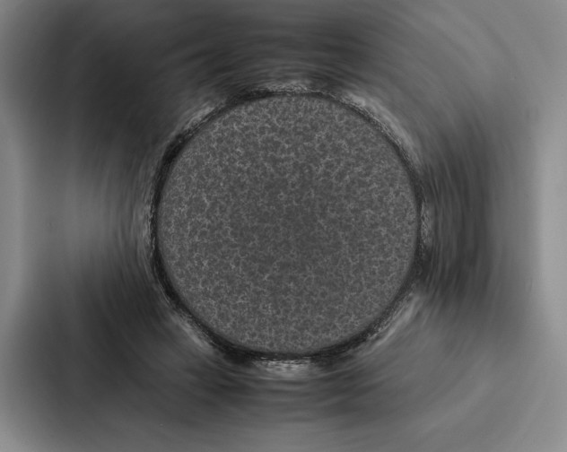 X0000086890449200705141626