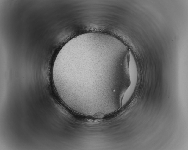 X0000086890450200705141626