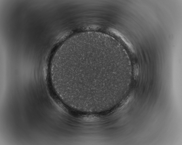 X0000086890451200705141626