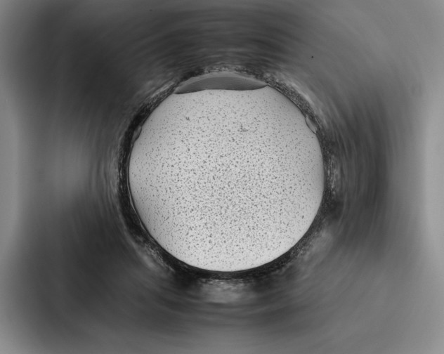 X0000086890455200705141626