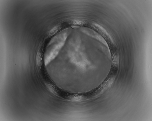 X0000086890456200705141626