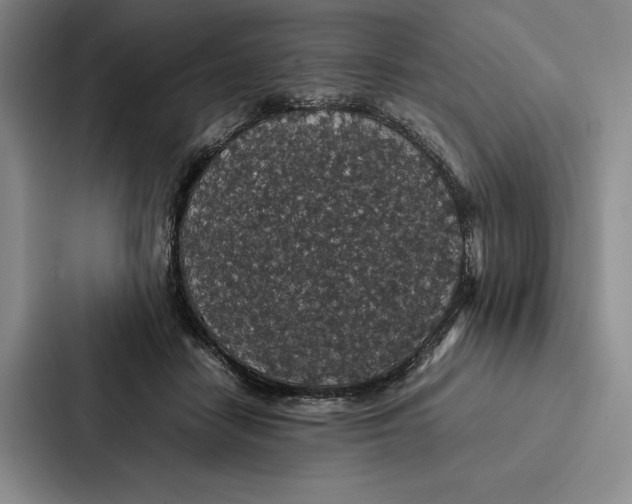 X0000086890458200705141626