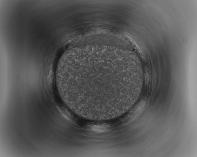 X0000086890459200705141626