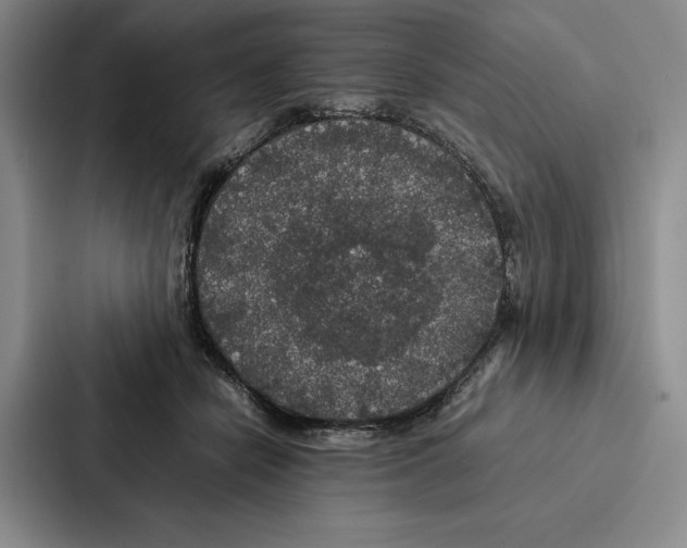 X0000086890462200705141626