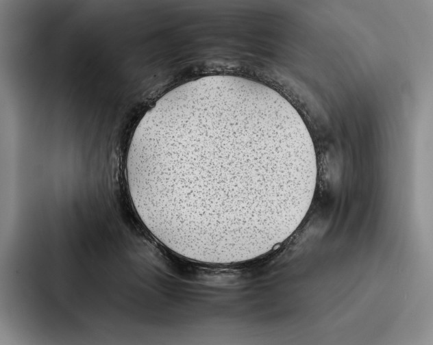 X0000086890463200705141626