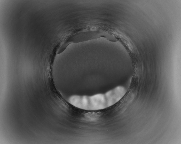 X0000086890465200705141626