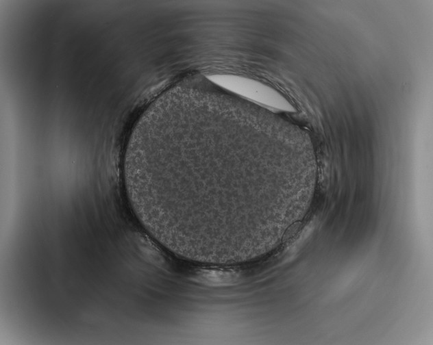 X0000086890466200705141626