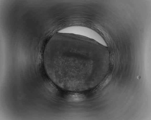 X0000086890467200705141626