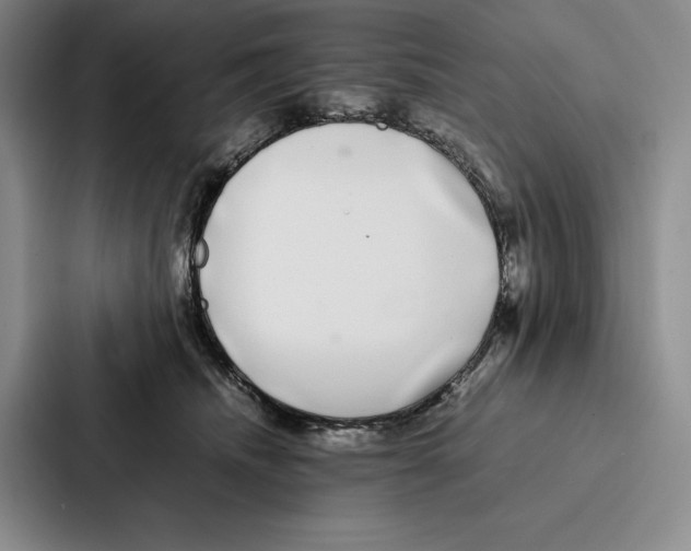 X0000086890468200705141626