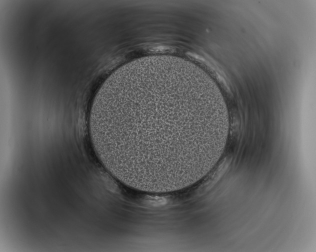 X0000086890469200705141626