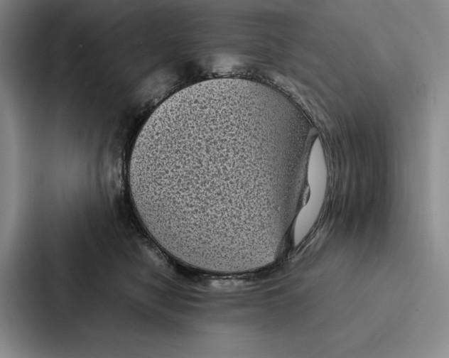 X0000086890470200705141626