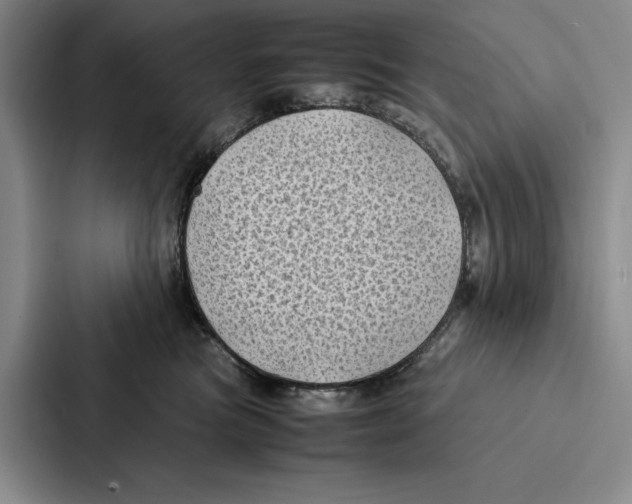 X0000086890473200705141626