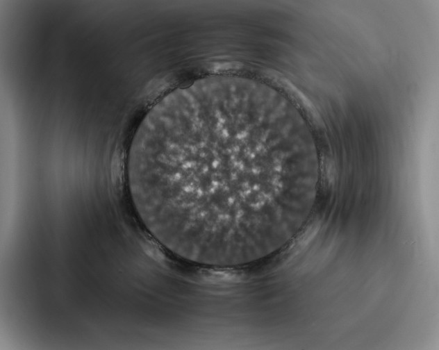 X0000086890475200705141626