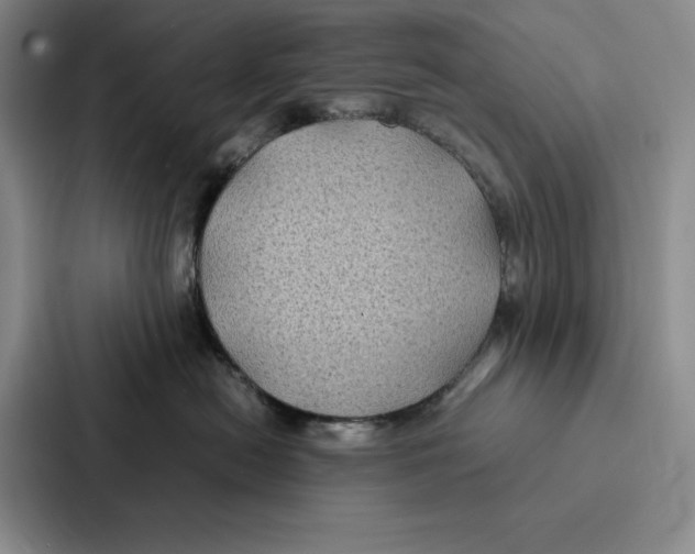 X0000086890478200705141626