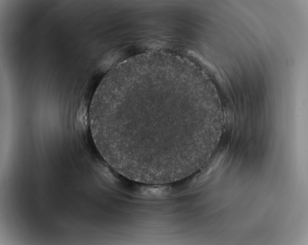 X0000086890479200705141626