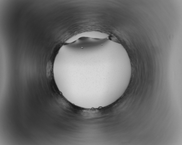 X0000086890480200705141626