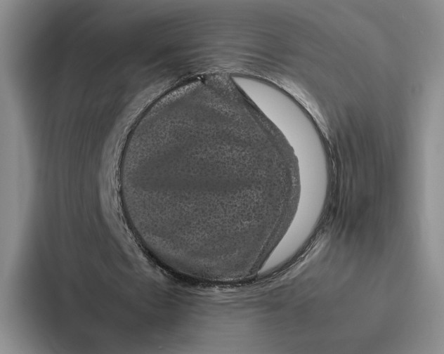 X0000086890481200705141626