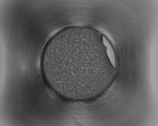 X0000086890483200705141625