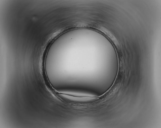 X0000086890485200705141625