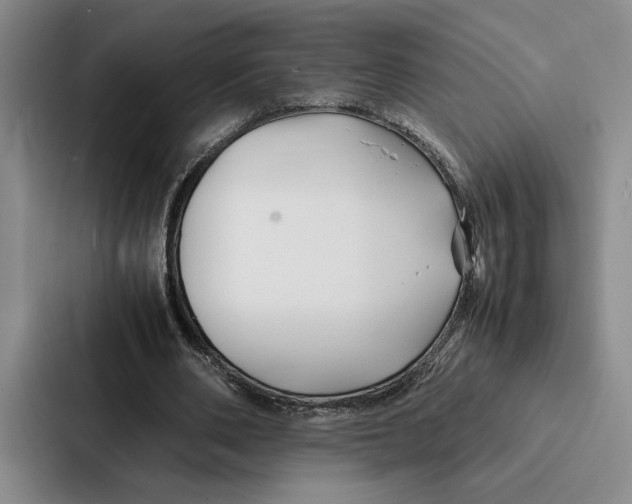 X0000086890486200705141625