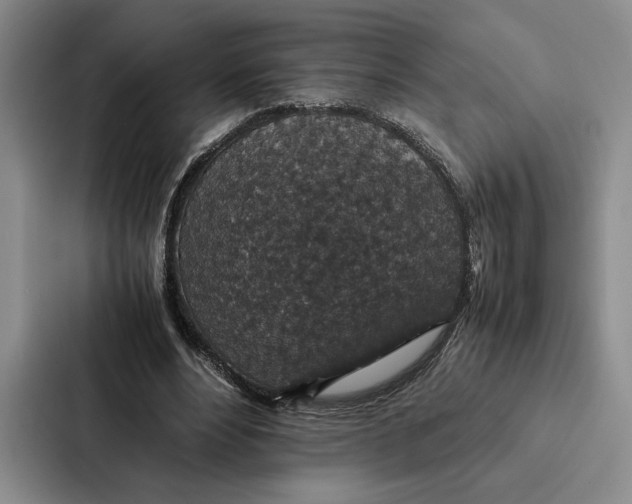 X0000086890488200705141625