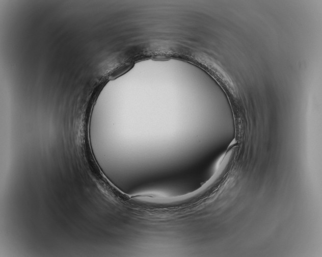 X0000086890489200705141625