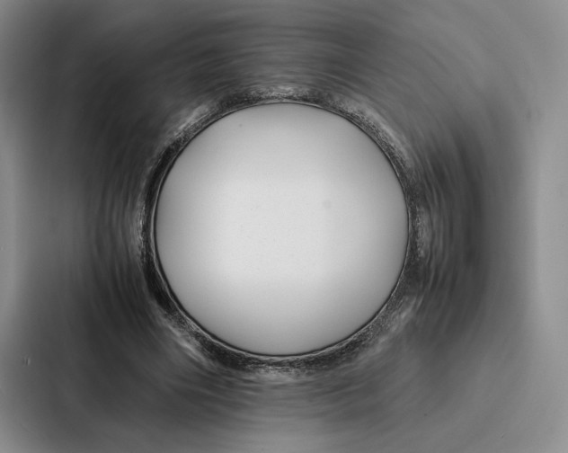 X0000086890490200705141625