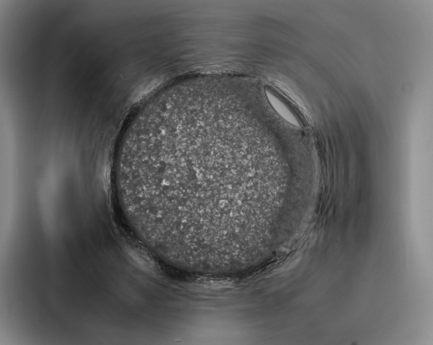 X0000086890491200705141625