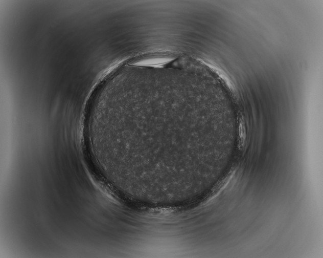 X0000086890492200705141625