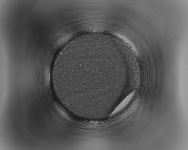 X0000086890493200705141625