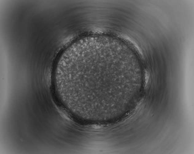 X0000086890496200705141625