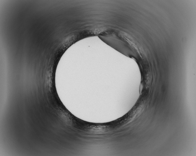 X0000086890497200705141625