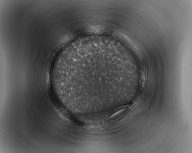 X0000086890500200705141625