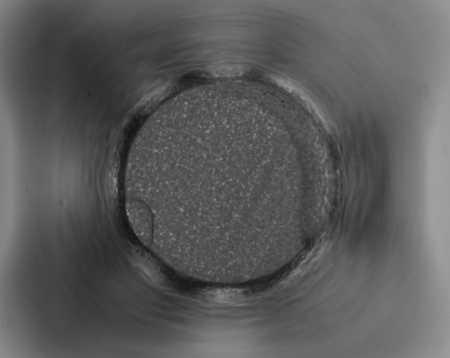 X0000086890501200705141625