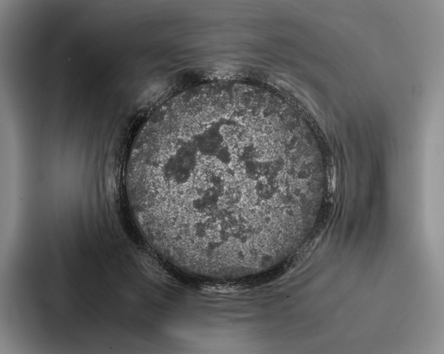 X0000086890503200705141625