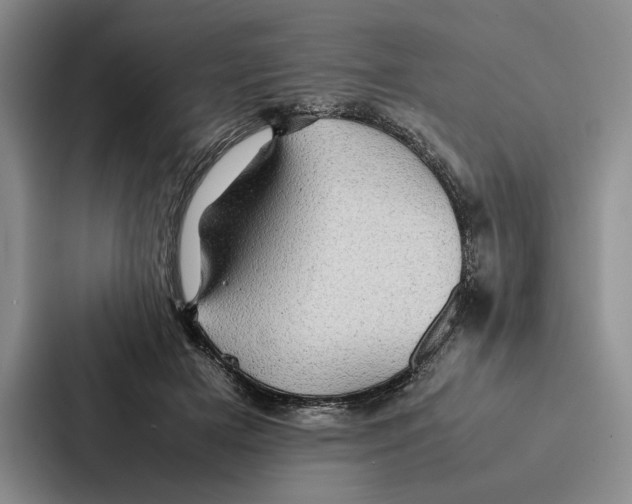 X0000086890505200705141625