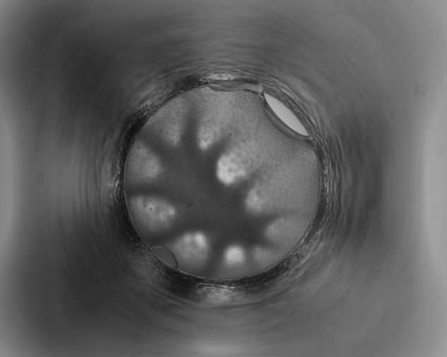 X0000086890507200705141625