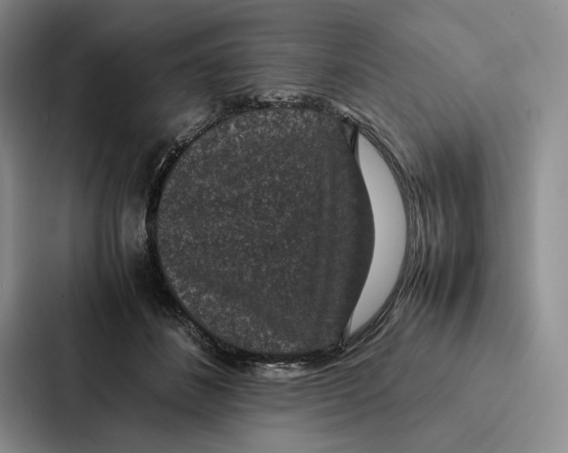 X0000086890508200705141625