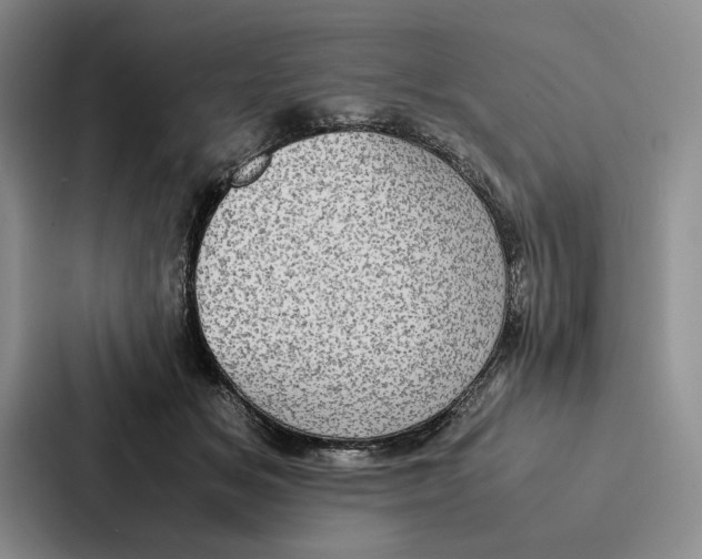 X0000086890509200705141625