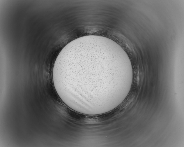 X0000086890510200705141625