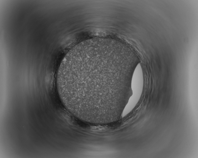 X0000086890511200705141625