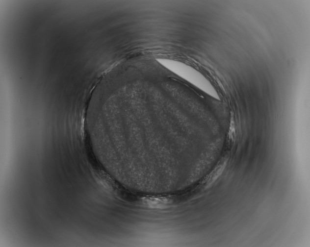 X0000086890512200705141625