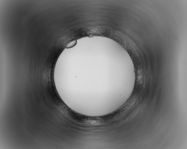 X0000086890514200705141625