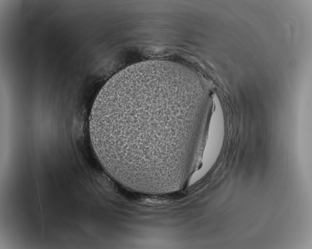 X0000086890515200705141625