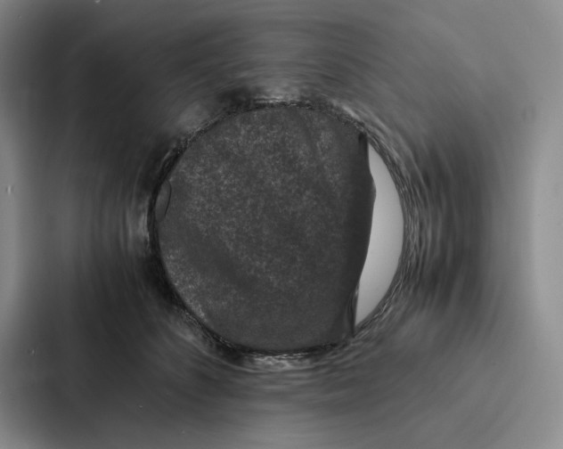 X0000086890516200705141625