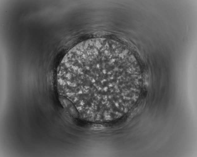 X0000086890519200705141625