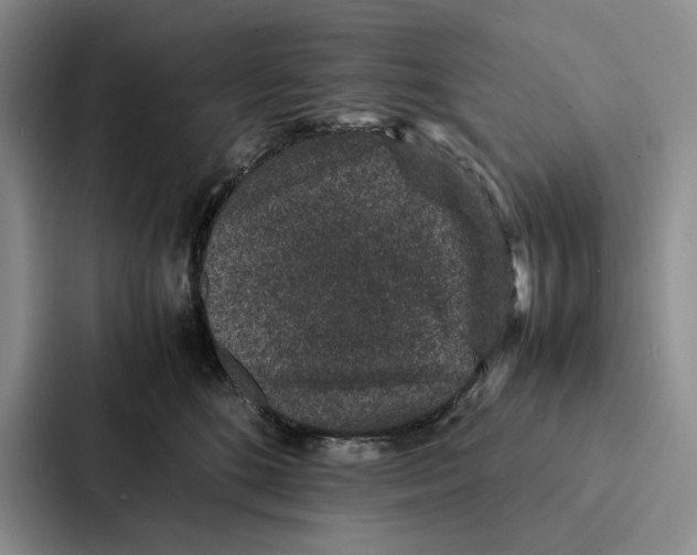 X0000086890520200705141625