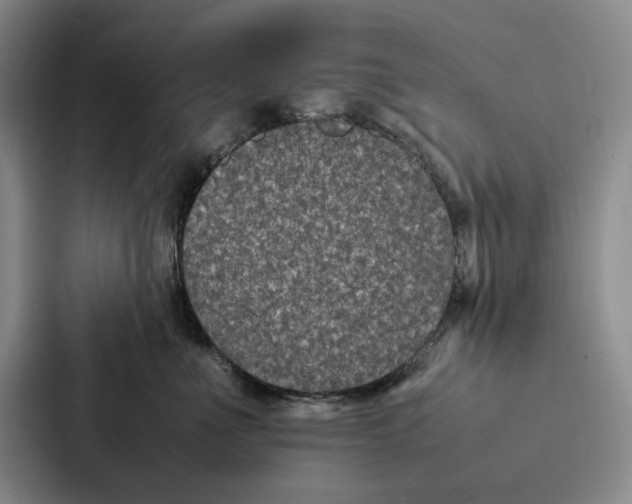 X0000086890523200705141625