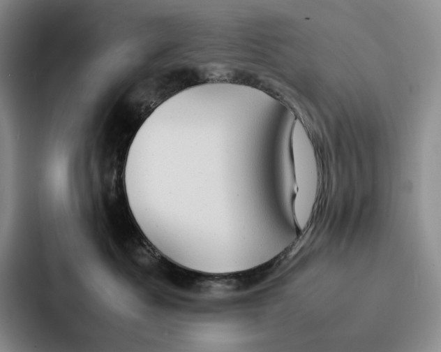 X0000086890525200705141625