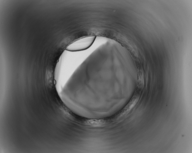 X0000086890526200705141625